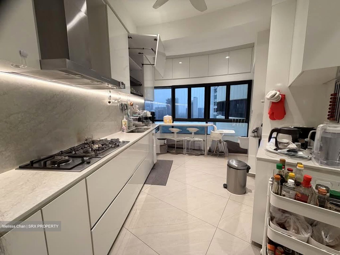The Draycott (D10), Apartment #568285891